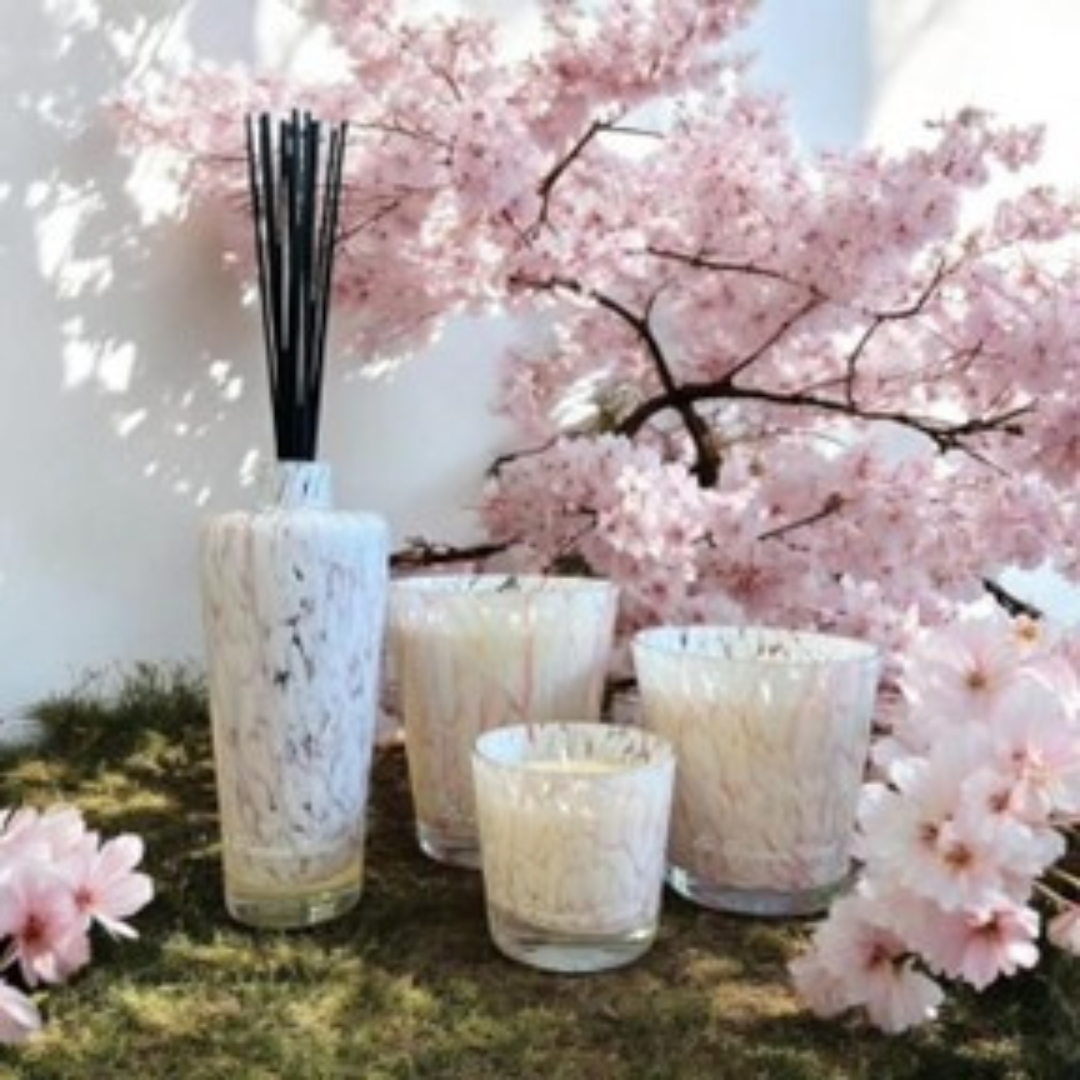 Design sans titre - 2025-01-21T151000.071